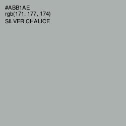 #ABB1AE - Silver Chalice Color Image